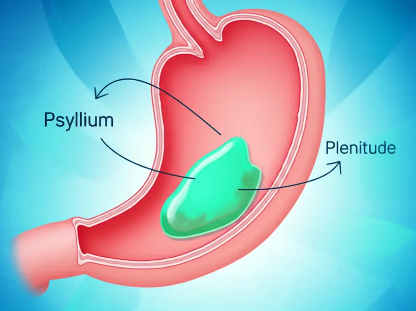 Ilustração de Psyllium formando um gel no estômago, simbolizando a saciedade.